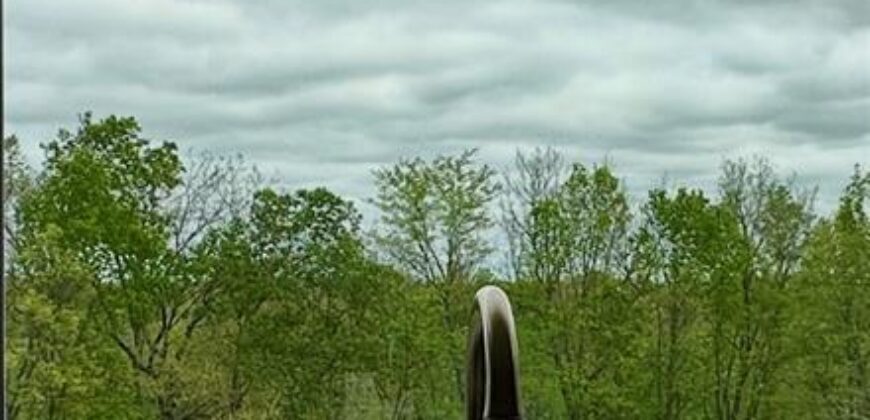 10000 NE 112th Street, Kansas City, MO 64157