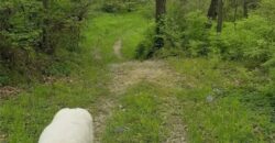 10000 NE 112th Street, Kansas City, MO 64157