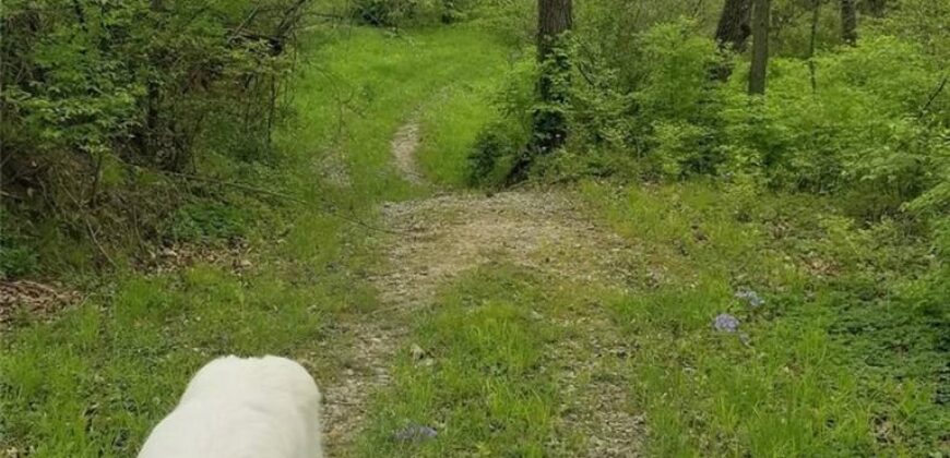 10000 NE 112th Street, Kansas City, MO 64157