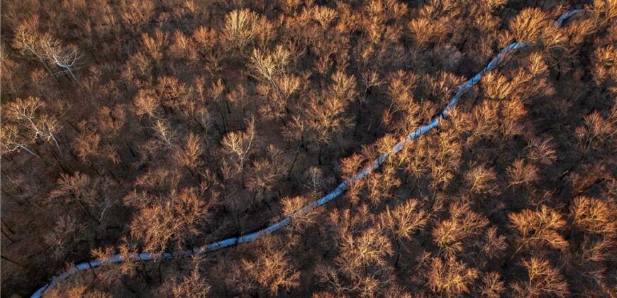 21195 Edgerton Junction Road Road, Dearborn, MO 64439