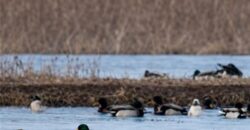 21195 Edgerton Junction Road Road, Dearborn, MO 64439