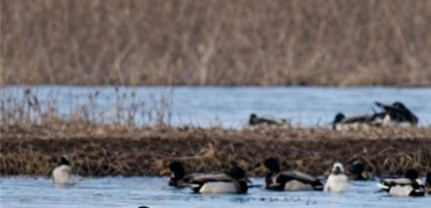 21195 Edgerton Junction Road Road, Dearborn, MO 64439