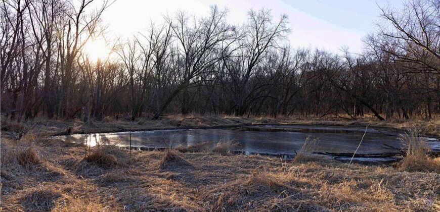 21195 Edgerton Junction Road Road, Dearborn, MO 64439