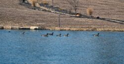 21195 Edgerton Junction Road Road, Dearborn, MO 64439