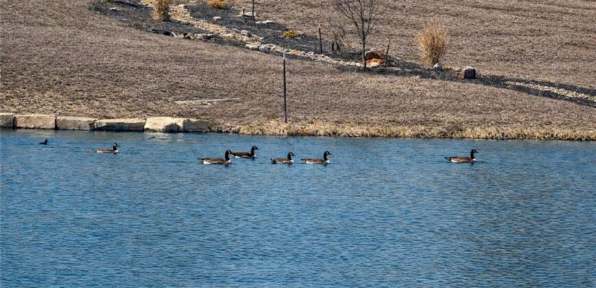 21195 Edgerton Junction Road Road, Dearborn, MO 64439