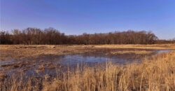 21195 Edgerton Junction Road Road, Dearborn, MO 64439