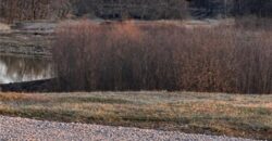 21195 Edgerton Junction Road Road, Dearborn, MO 64439