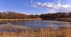 21195 Edgerton Junction Road Road, Dearborn, MO 64439