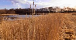 21195 Edgerton Junction Road Road, Dearborn, MO 64439