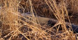 21195 Edgerton Junction Road Road, Dearborn, MO 64439