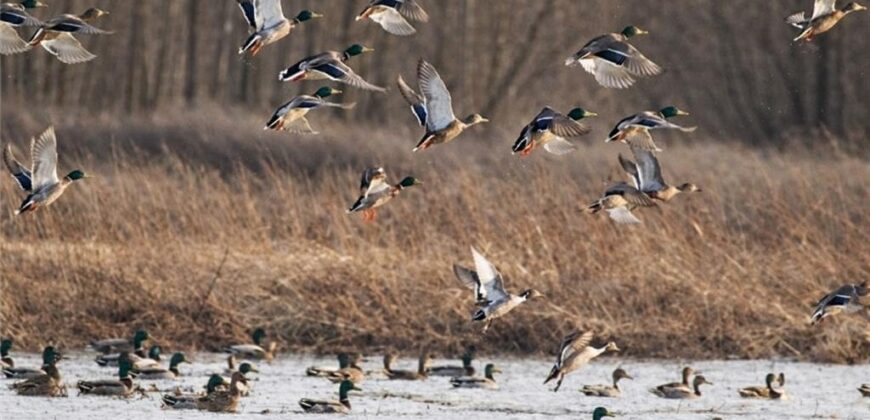 21195 Edgerton Junction Road Road, Dearborn, MO 64439