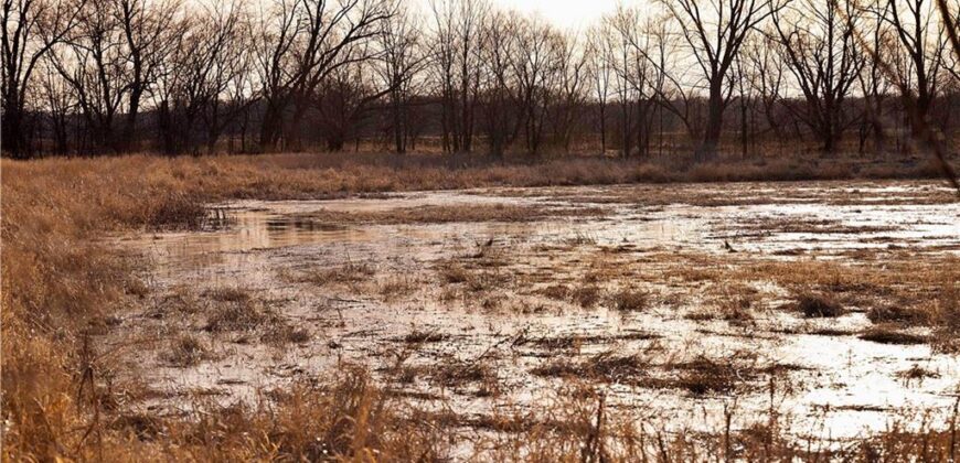 21195 Edgerton Junction Road Road, Dearborn, MO 64439