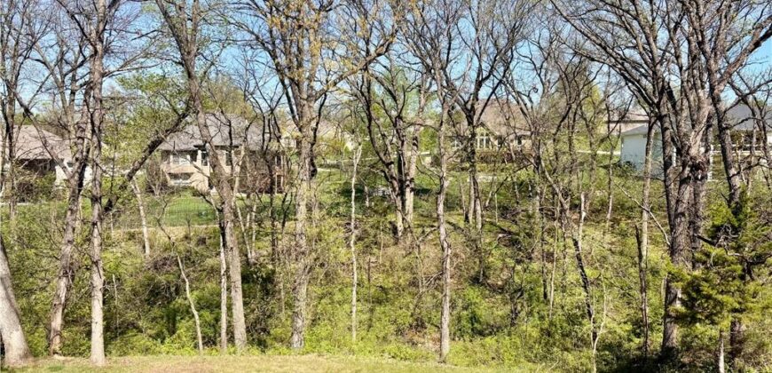 812 Foxglove Lane, Kearney, MO 64060