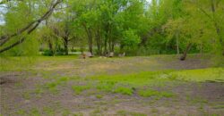 16023 Jesse James Road, Kearney, MO 64060