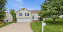 15510 NW 125th Street, Platte City, MO 64079