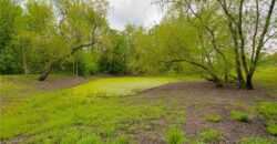 16023 Jesse James Farm Road, Kearney, MO 64060