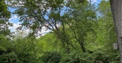 14665 Clemstone Drive, Platte City, MO 64079