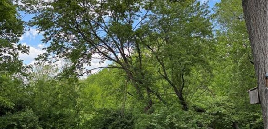 14665 Clemstone Drive, Platte City, MO 64079