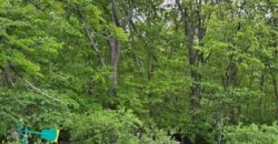 14665 Clemstone Drive, Platte City, MO 64079