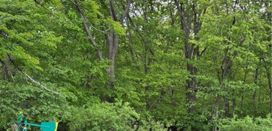 14665 Clemstone Drive, Platte City, MO 64079
