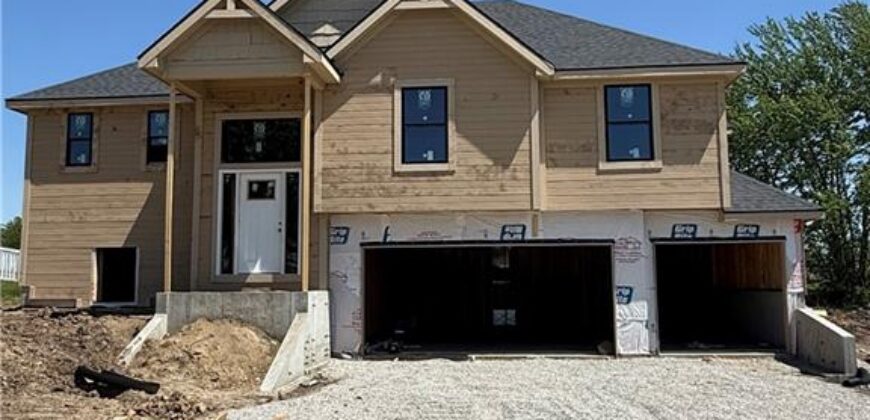 12408 Morgan Street, Excelsior Springs, MO 64024