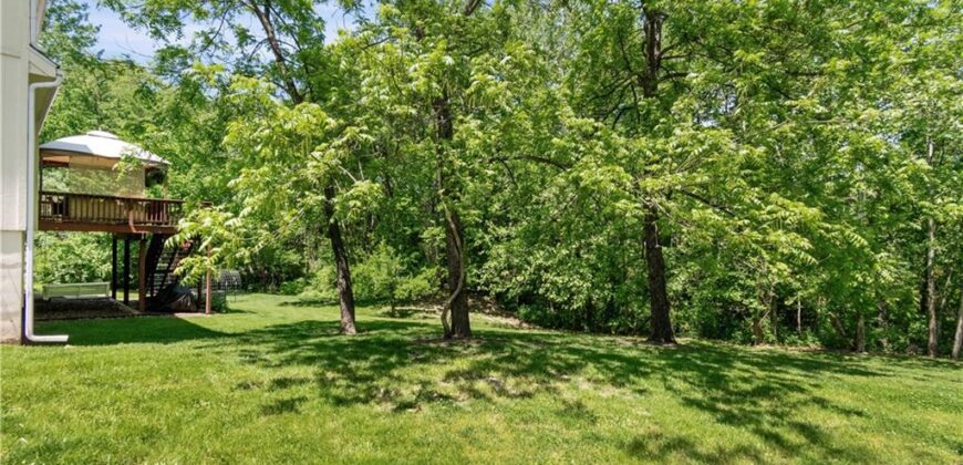 1110 Sarah Lane, Kearney, MO 64060