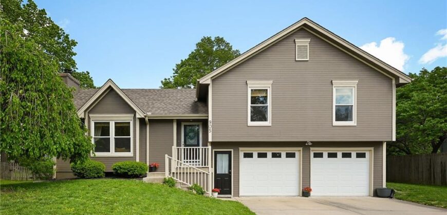 905 Oak Ridge, Kearney, MO 64060