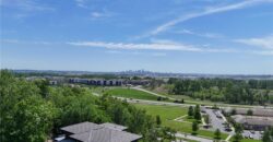 4140 N Redbud Lane, Riverside, MO 64150