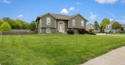 1102 E 18th Street, Kearney, MO 64060