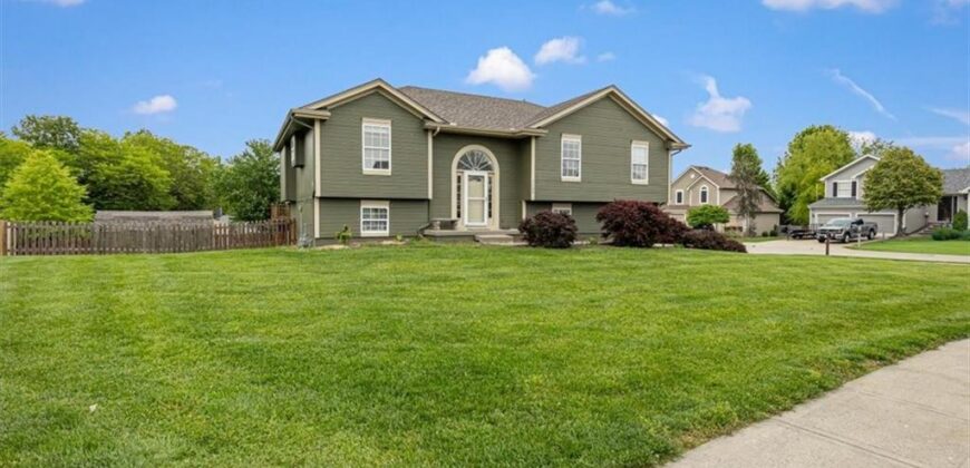 1102 E 18th Street, Kearney, MO 64060