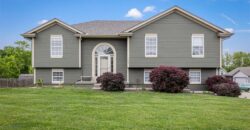 1102 E 18th Street, Kearney, MO 64060