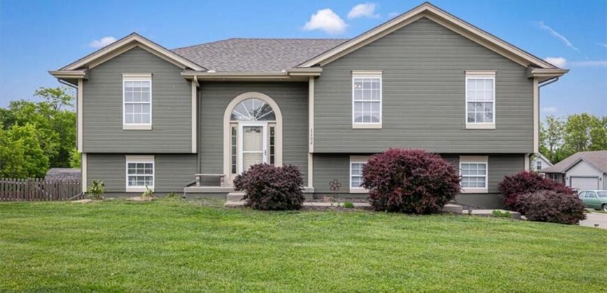 1102 E 18th Street, Kearney, MO 64060