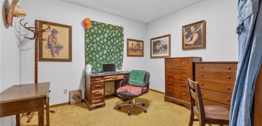 19625 NE 128th Street, Kearney, MO 64060
