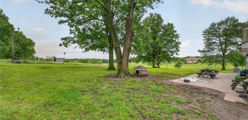 19625 NE 128th Street, Kearney, MO 64060