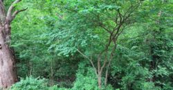441 Wilshire Boulevard, Liberty, MO 64068