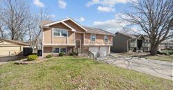 22 NW 101ST Place, Kansas City, MO 64155