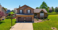 8001 NE 107th Street, Kansas City, MO 64157