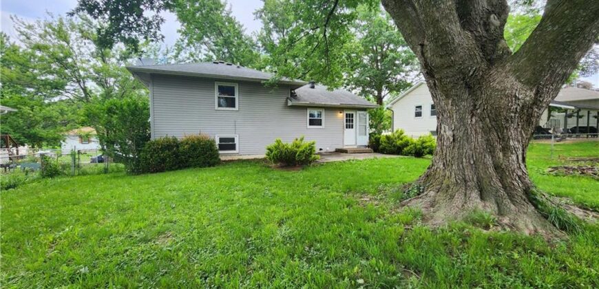 115 SHERRI Lane, Excelsior Springs, MO 64024
