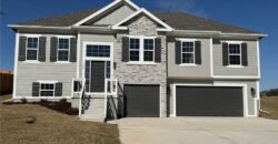 1110 Oak Ridge Street, Kearney, MO 64060