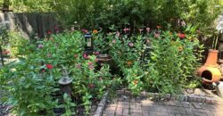 5044 NE Marvin Road, Kansas City, MO 64118