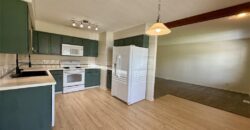 1806 Gates Drive, Platte City, MO 64079