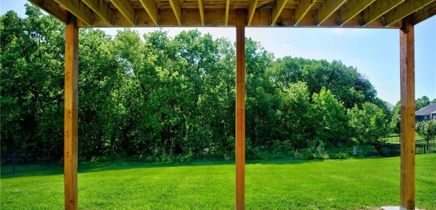 13275 N Silver Ridge Drive, Platte City, MO 64079