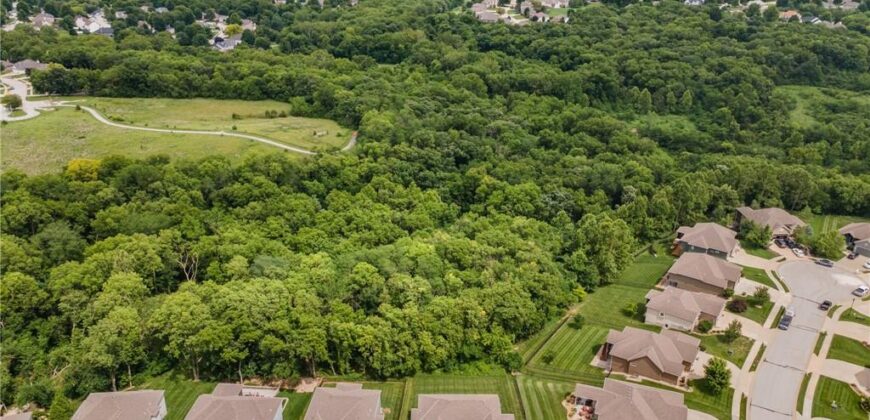 13275 N Silver Ridge Drive, Platte City, MO 64079