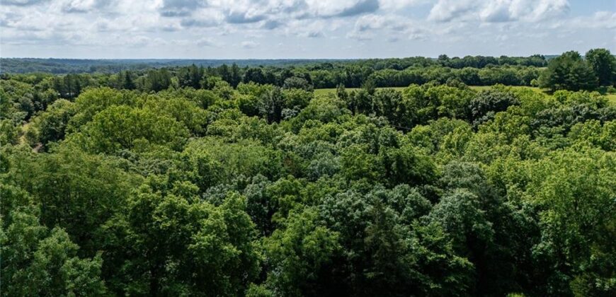 17635 Stubbs Station Road, Camden Point, MO 64018