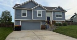 1103 E 18th Street, Kearney, MO 64060