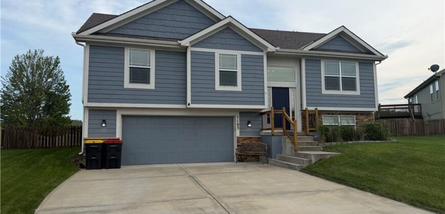 1103 E 18th Street, Kearney, MO 64060