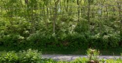 400 West Street, Parkville, MO 64152