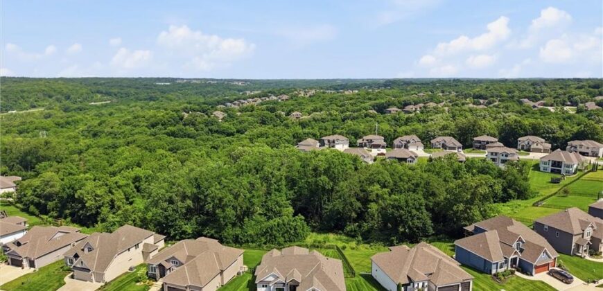 14790 Thousand Oaks Place, Parkville, MO 64152