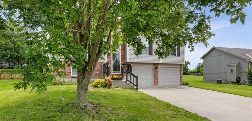 6819 NE 113TH Terrace, Kansas City, MO 64156