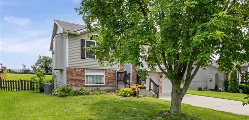 6819 NE 113TH Terrace, Kansas City, MO 64156